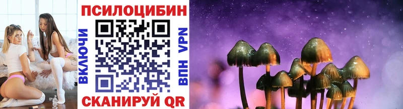 Галлюциногенные грибы Psilocybine cubensis  МЕГА   Абаза  магазин продажи  